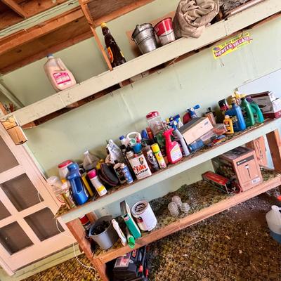 Shelves of Cleaners & other