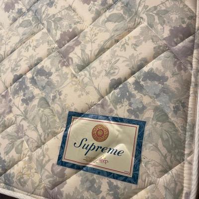 Queen Iron Canopy Bed with mattress