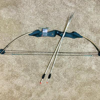 Bow and Arrows