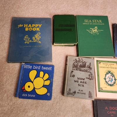 Lot of Vintage Books
