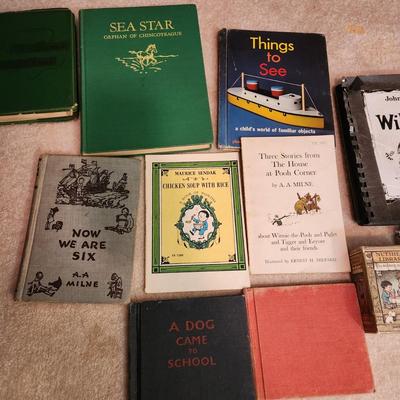 Lot of Vintage Books