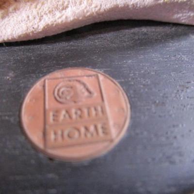 Earth Home American Bison