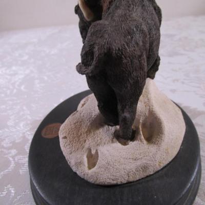 Earth Home American Bison