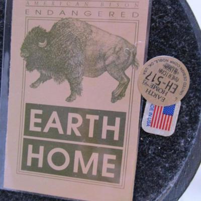 Earth Home American Bison