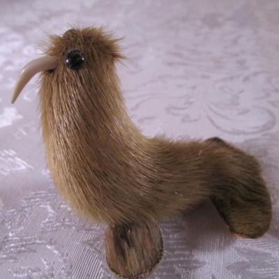 Walrus with seal? fur
