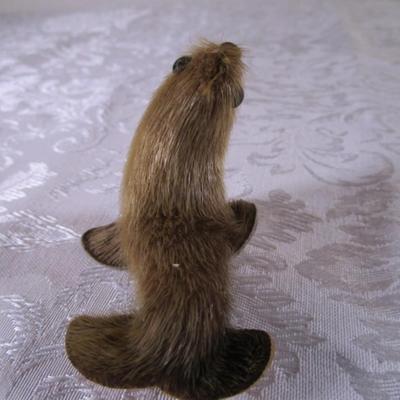 Walrus with seal? fur