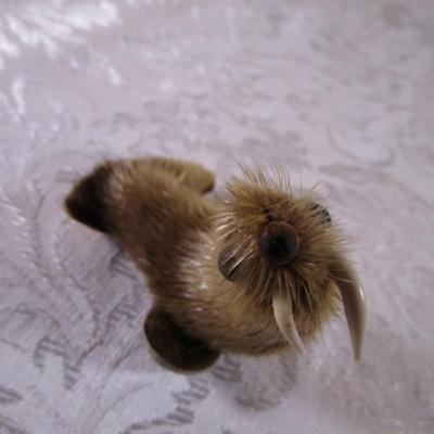 Walrus with seal? fur
