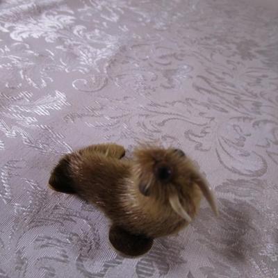 Walrus with seal? fur