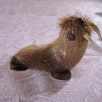 Walrus with seal? fur