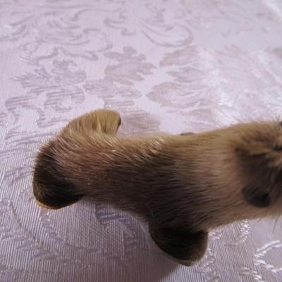 Walrus with seal? fur