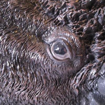 DWK Corporation North American Bison wall plaque