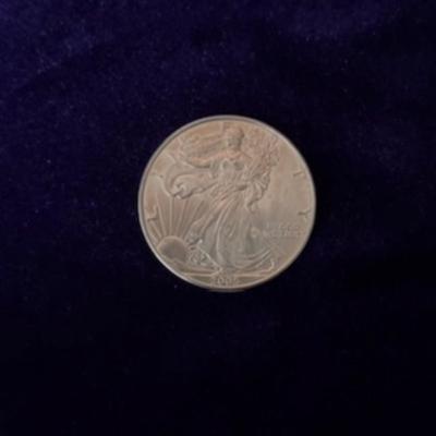 2005 Silver Eagle