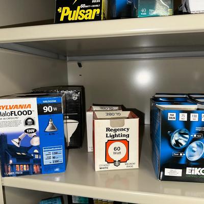 VARIETY OF LIGHT BULBS