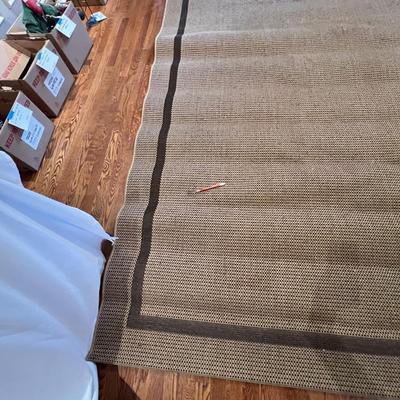 Matching Pair of Large Accent Rugs (DR-RG)