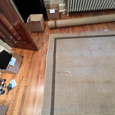 Matching Pair of Large Accent Rugs (DR-RG)