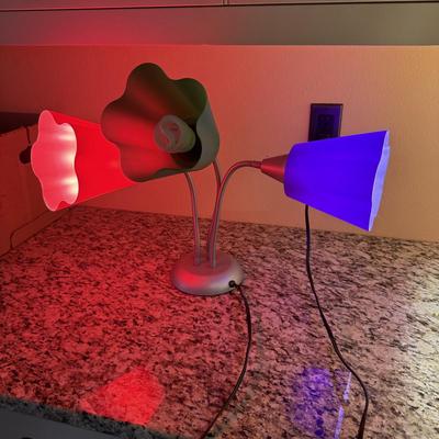 Two Desk Lamps (UO-MK)
