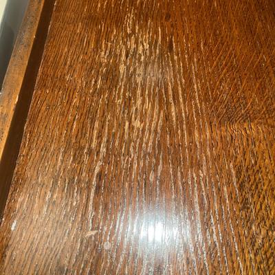 Single Door Footed Display Cabinet (LR-MG)
