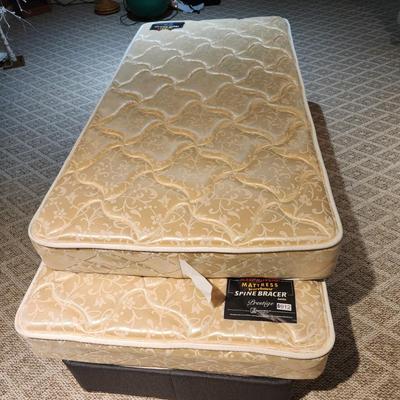 2 Twin Mattress Spine Bracer series