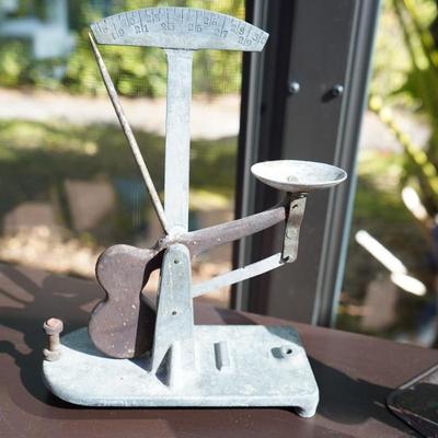 Vintage Egg Scales
