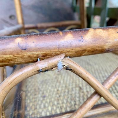 LOT 34 L: Pier 1 Aberdeen Collection Rattan 4 Tier Shelf