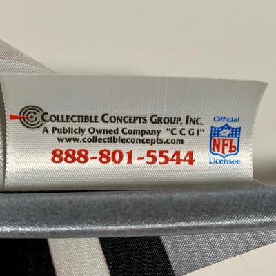 LOT 38 L: NFL Philadelphia Eagles Collection: Glass & Plastic Drinking Glasses, Hand Painted Sugar Skull, Glitter Lamp, & More