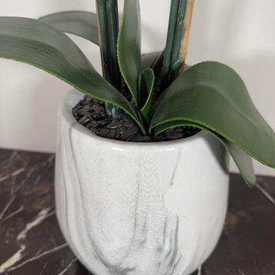 LOT 76D: Framed Charles Zhan “Forest Creek Giclee” Print & Faux Potted Orchid