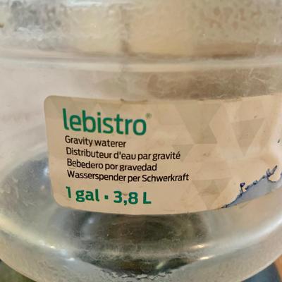 LOT 130 O & L: Pup N' Stuff Collection: 2 Mesh Outdoor / Indoor Dog Beds, Pet Hair Trimmer, Wooden Bone Shape Food & Water...