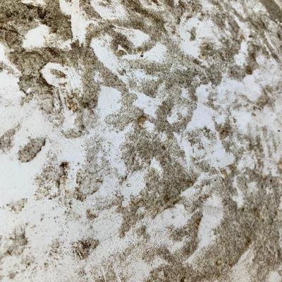 LOT 138 S: Heritage 70" Fibreglass Surfboard