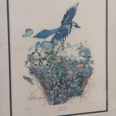 'Blue Jay' by Sallie Ellington Middleton- Signed by Artist- Approx 27" x 32"