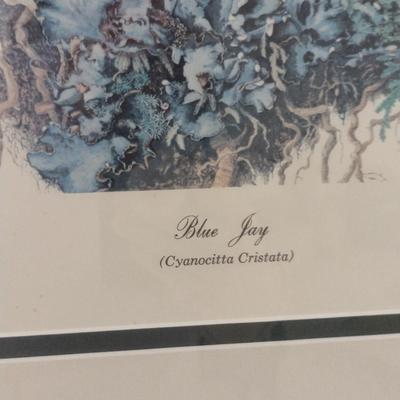 'Blue Jay' by Sallie Ellington Middleton- Signed by Artist- Approx 27" x 32"