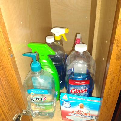 Assorted Household Cleaners