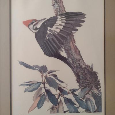 Pileated Woodpecker by Sallie Ellington Middleton- Signed by Artist- Approx 26 1/2" x 34"