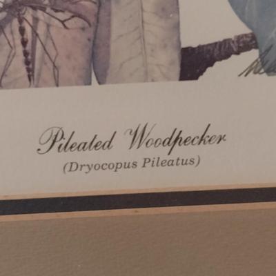 Pileated Woodpecker by Sallie Ellington Middleton- Signed by Artist- Approx 26 1/2" x 34"