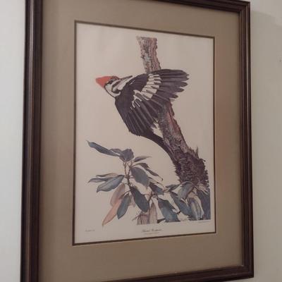 Pileated Woodpecker by Sallie Ellington Middleton- Signed by Artist- Approx 26 1/2" x 34"