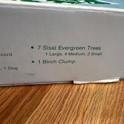 Department 56 Village Skating Pond in Original Box