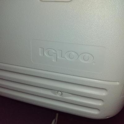 Igloo Cooler- 100 Quart Capacity- Approx 16 3/4" Tall x 17 1/4" Wide x 35 1/4" Long