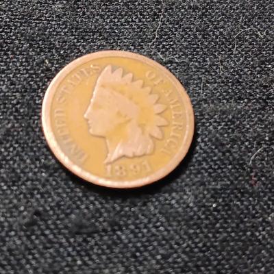 1891 INDIAN HEAD PENNY