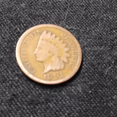 1891 INDIAN HEAD PENNY