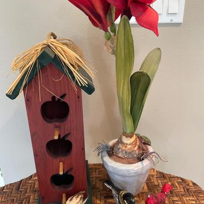 Wicker table with bird house, birds and amaryllis