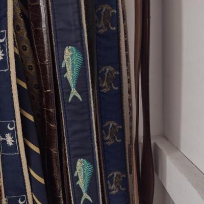 Collection of Ties and Belts