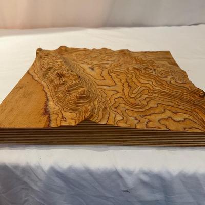 Unique Wood Wall Art with 3D Effect (DR-RG)