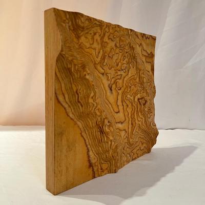 Unique Wood Wall Art with 3D Effect (DR-RG)
