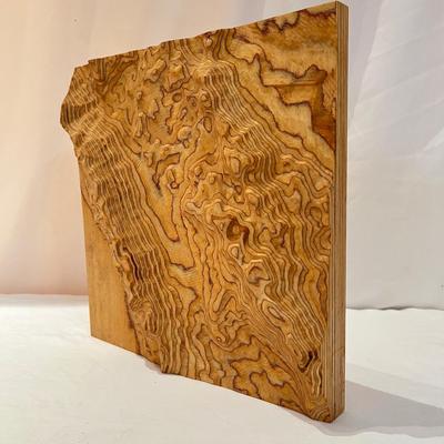 Unique Wood Wall Art with 3D Effect (DR-RG)