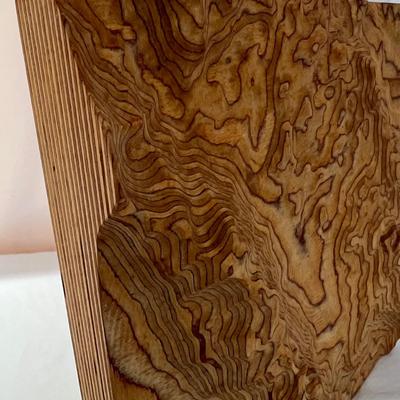 Unique Wood Wall Art with 3D Effect (DR-RG)