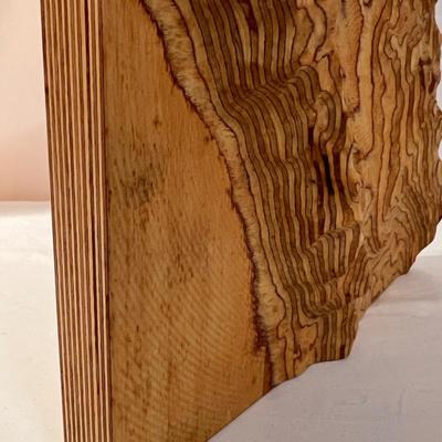 Unique Wood Wall Art with 3D Effect (DR-RG)