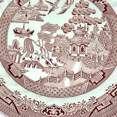 Royal Wessex Collection Willow Rose Red Service for 7