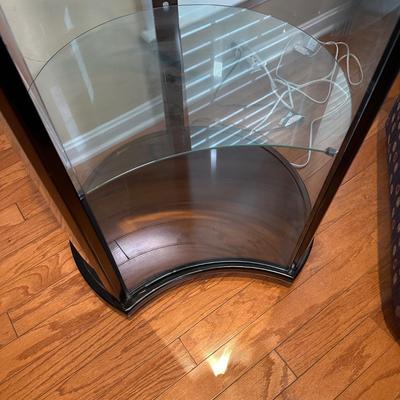 LOT 224: Glass Curio Cabinet Display