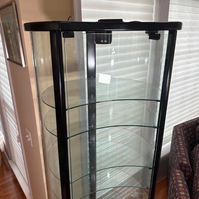 LOT 224: Glass Curio Cabinet Display