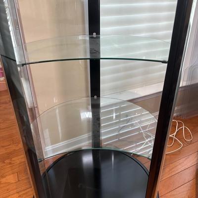 LOT 224: Glass Curio Cabinet Display