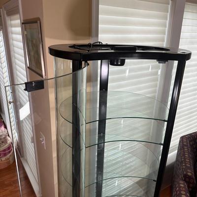 LOT 224: Glass Curio Cabinet Display